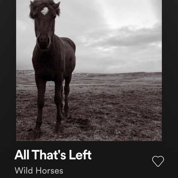 Meet your Posher, E. - Picture 2 of 2